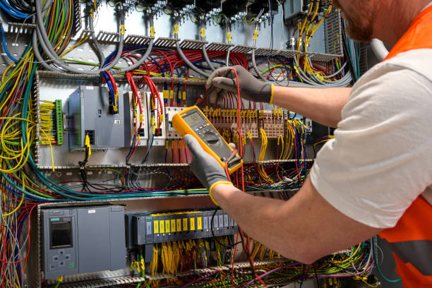 Best Electric Panel Repair  in Williston Park, NY